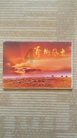 中低端的王者,红米手机是怎样炼成的?粉丝四个字说到重点